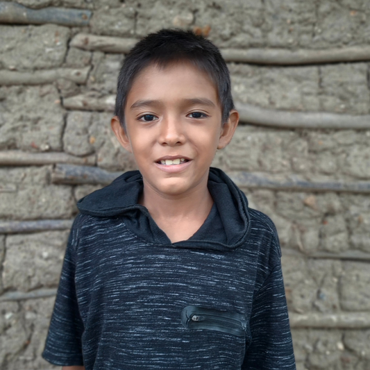 Sponsor Ricardo