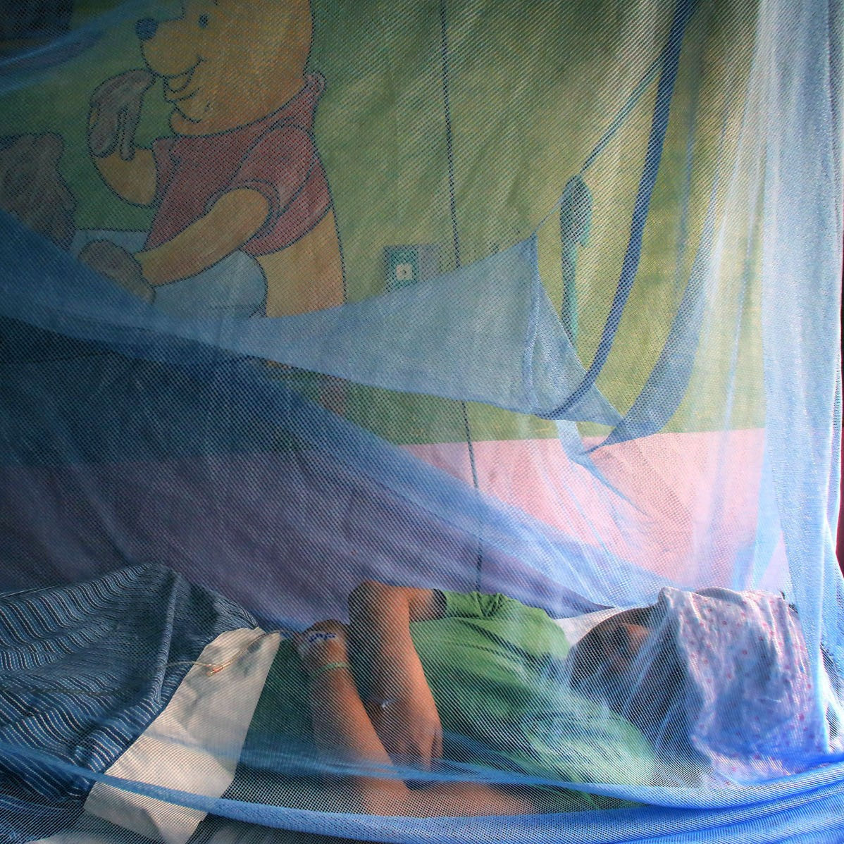 Mosquito Net for Dengue Prevention